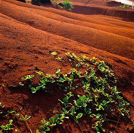 《潜水员戴夫》销量破500万 Steam史低促销